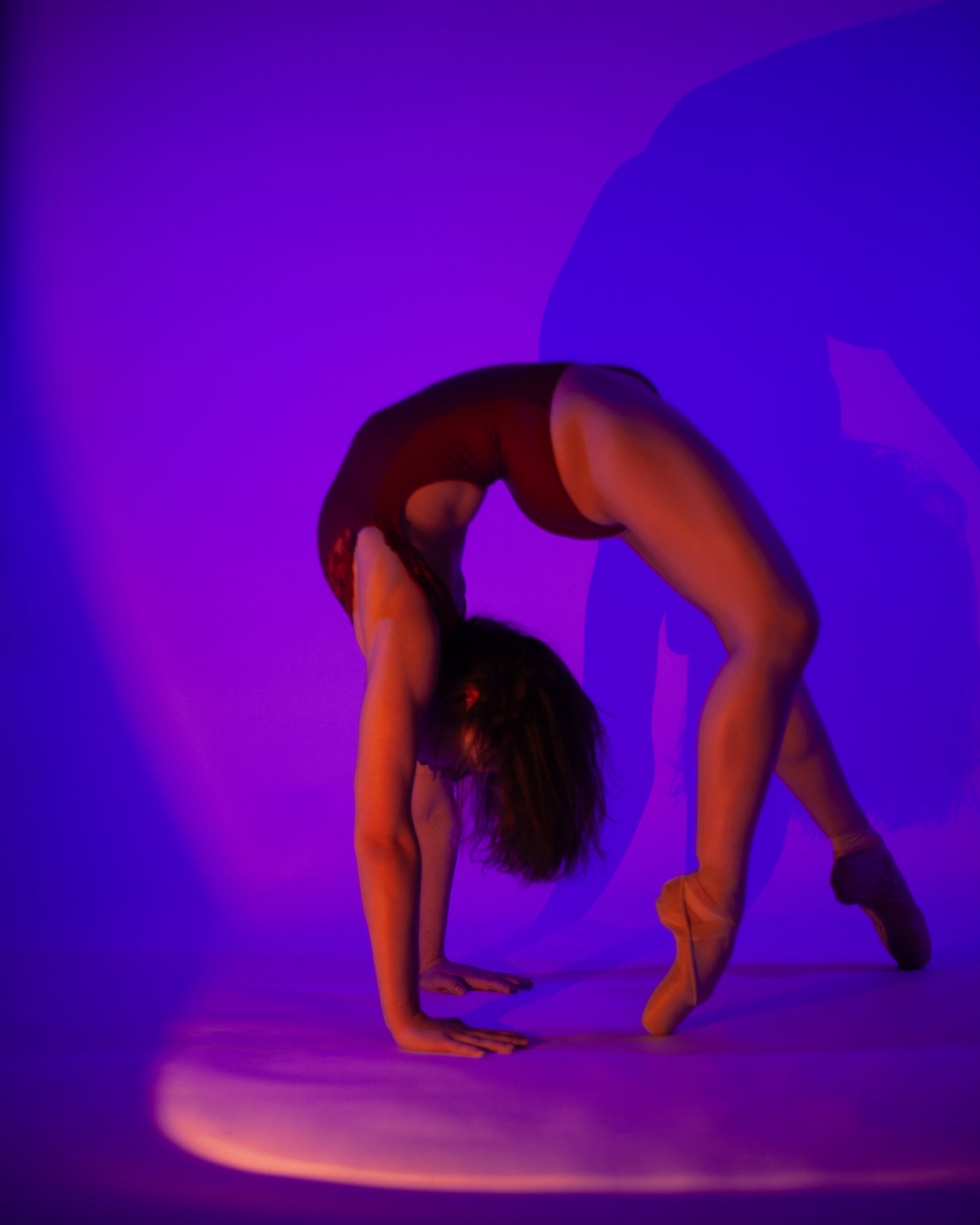 Berenice Leotard