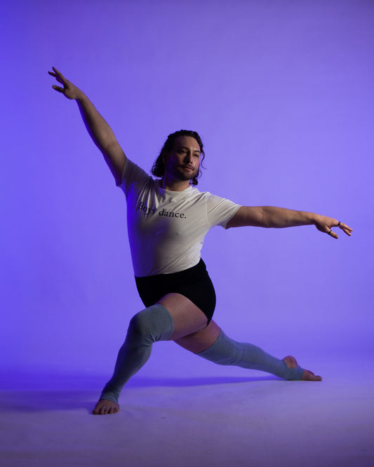 Lux Legwarmers